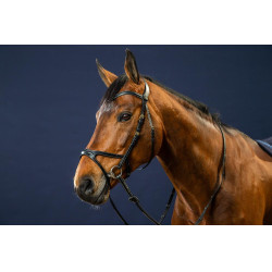 Bridon X-Fit D Collection by Dy'on Noir