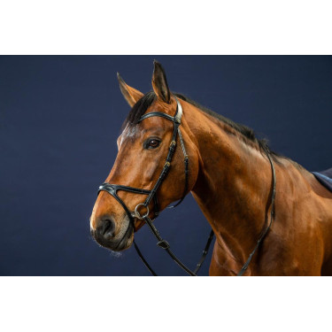 Bridon X-Fit D Collection by Dy'on Noir