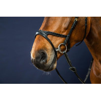 Bridon X-Fit D Collection by Dy'on Brun Marron