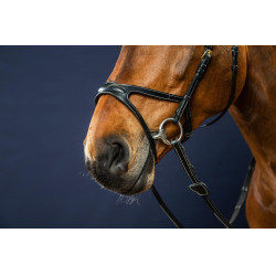 Bridon X-Fit D Collection by Dy'on Noir