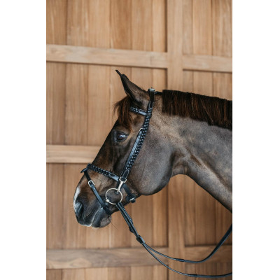 Plaited Training Bridle Working By Dy'on Noir