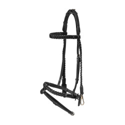 Plaited Training Bridle Working By Dy'on Noir