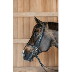 Plaited Training Bridle Working By Dy'on Noir Plaited Training Bridle Working By Dy'on Noir