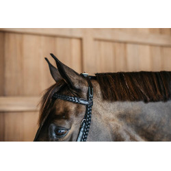 Plaited Training Bridle Working By Dy'on Noir Plaited Training Bridle Working By Dy'on Noir