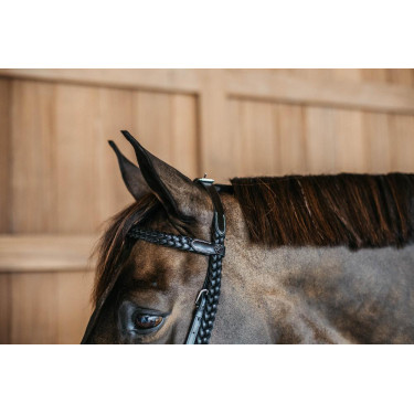 Plaited Training Bridle Working By Dy'on Plaited Training Bridle Working By Dy'on