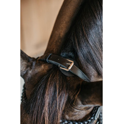 Plaited Training Bridle Working By Dy'on Noir Plaited Training Bridle Working By Dy'on Noir