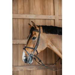Plaited Training Bridle Working By Dy'on