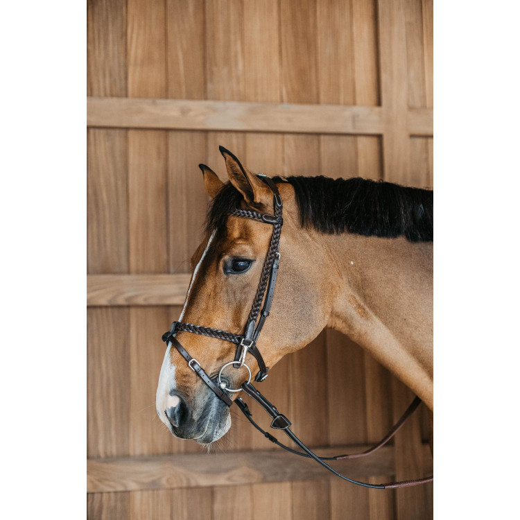 Plaited Training Bridle Working By Dy'on Plaited Training Bridle Working By Dy'on