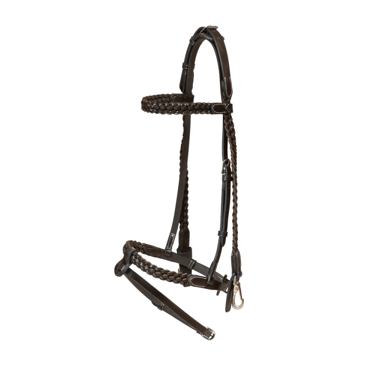 Plaited Training Bridle Working By Dy'on Plaited Training Bridle Working By Dy'on