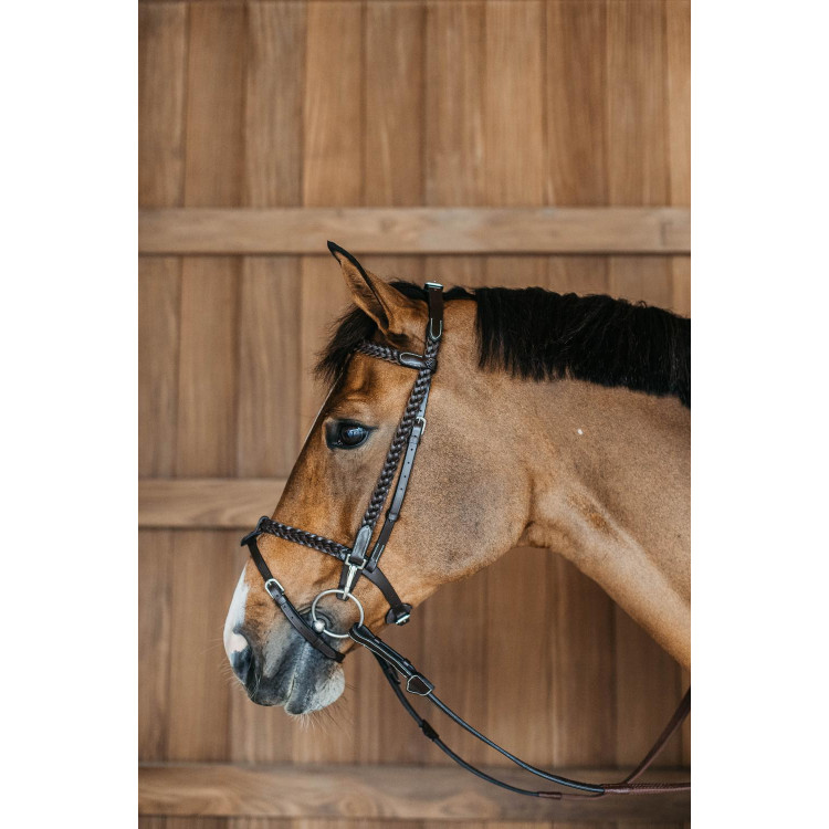 Plaited Training Bridle Working By Dy'on Plaited Training Bridle Working By Dy'on