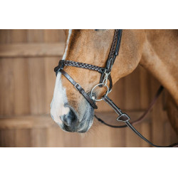 Plaited Training Bridle Working By Dy'on Marron Plaited Training Bridle Working By Dy'on Marron