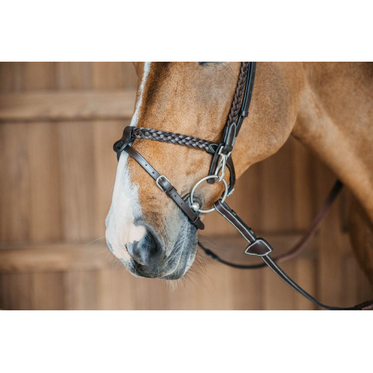 Plaited Training Bridle Working By Dy'on Plaited Training Bridle Working By Dy'on