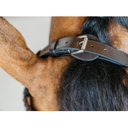 Plaited Training Bridle Working By Dy'on Marron Plaited Training Bridle Working By Dy'on Marron