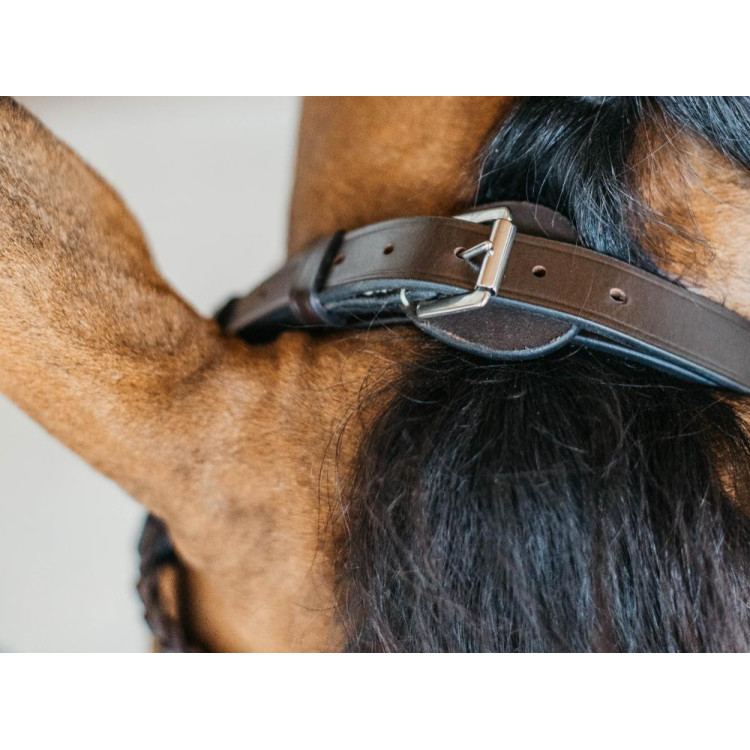 Plaited Training Bridle Working By Dy'on Plaited Training Bridle Working By Dy'on