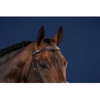 Frontal Droit Anatomique US Collection by Dy'on Brun Marron Frontal Droit Anatomique US Collection by Dy'on Brun Marron