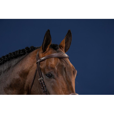 Frontal Droit Anatomique US Collection by Dy'on Frontal Droit Anatomique US Collection by Dy'on