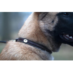 Collier Pour Chien Avec Surpiqure Décorative Dy'on Brun Marron Collier Pour Chien Avec Surpiqure Décorative Dy'on Brun Marron