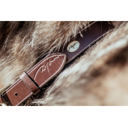 Collier Pour Chien Cuir Plat Dy'on Brun Marron