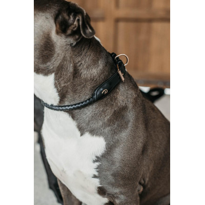 Collier pour chien tréssé Dy'on Noir