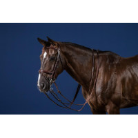 Bride Muserolle Combinée New English Collection by Dy'on Noir