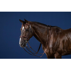 Bride Muserolle Combinée New English Collection by Dy'on Brun Marron