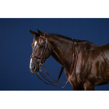 Bride Muserolle Combinée New English Collection by Dy'on Brun Marron