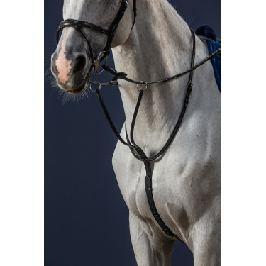 Martingale A Anneaux New English Collection by Dy'on Martingale A Anneaux New English Collection by Dy'on