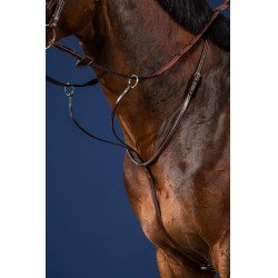 Martingale A Anneaux US Collection by Dy'on