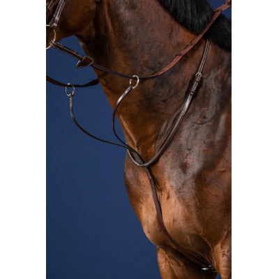 Martingale A Anneaux US Collection by Dy'on Brun
