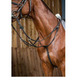 Martingale A Anneaux Working By Dy'on