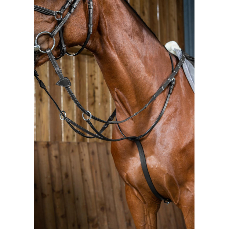 Martingale A Anneaux Working By Dy'on