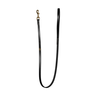 Laisse Pour Chien Classique Dy'on Noir
