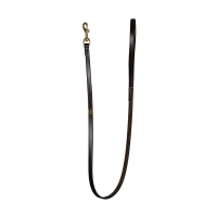 Laisse Pour Chien Classique Dy'on Brun Marron