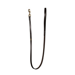 Laisse Pour Chien Classique Dy'on Brun Marron