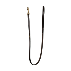 Laisse Pour Chien Classique Dy'on Brun Marron