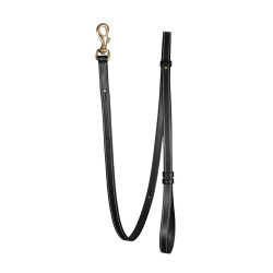 Laisse Pour Chien Ajustable Dy'on Noir