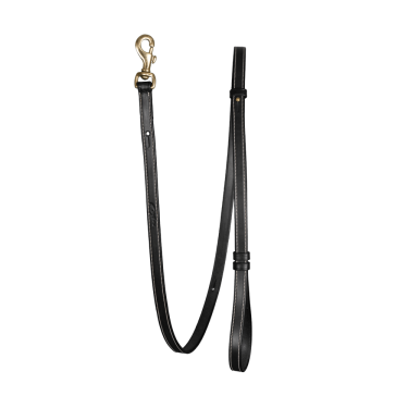 Laisse Pour Chien Ajustable Dy'on Laisse Pour Chien Ajustable Dy'on