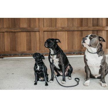 Laisse pour chien tressée Dy'on Noir