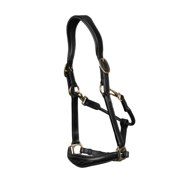 Licol Cuir D Collection by Dy'on Licol Cuir D Collection by Dy'on