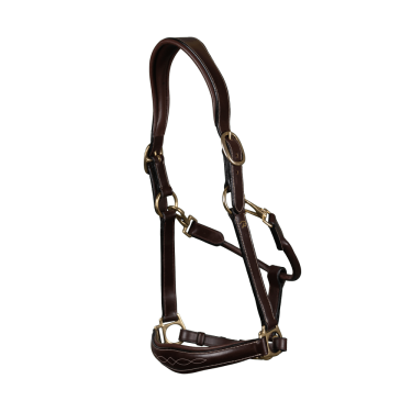 Licol Cuir D Collection by Dy'on Licol Cuir D Collection by Dy'on