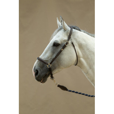 Licol De Pansage Working By Dy'on Licol De Pansage Working By Dy'on