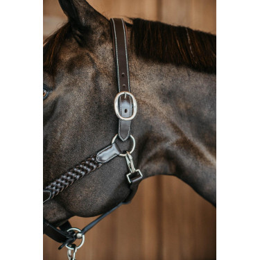 Licol tressé Working By Dy'on Marron