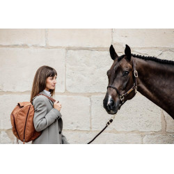 Sac pour casque Chestnut Grooming Deluxe by Kentucky