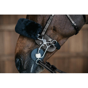 Protection de Hackamore Dy'on Noir