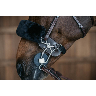 Protection de Hackamore Dy'on Protection de Hackamore Dy'on
