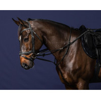 Enrênement Howlett Working By Dy'on Noir