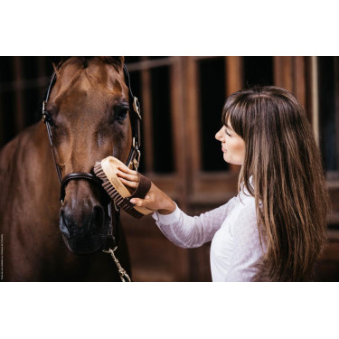 Brosse douce à poils doux Grooming Deluxe by Kentucky Brosse douce à poils doux Grooming Deluxe by Kentucky