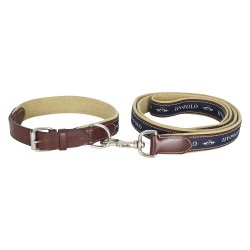 Collier de chien HV Polo Iconic Collier de chien HV Polo Iconic