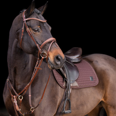Martingale HV Polo Legacy Martingale HV Polo Legacy