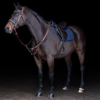 Martingale HV Polo Legacy Marron